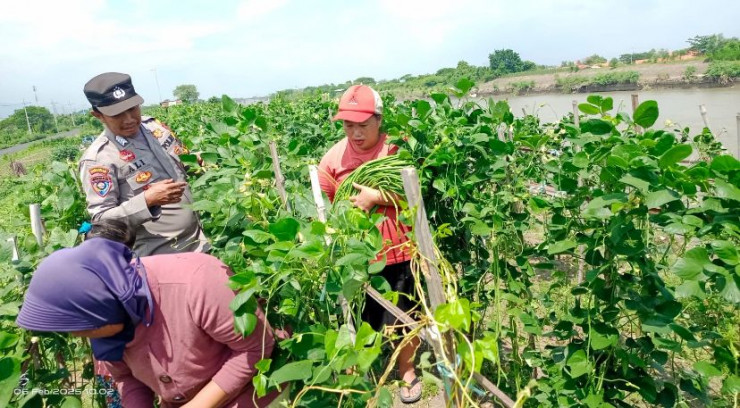 Bhabinkamtibmas Desa Kupang Sambangi Warga, Dukung Pekarangan Pangan Bergizi (P2B)