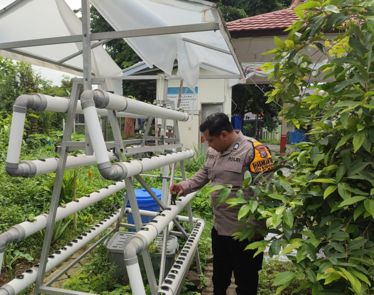 Bhabinkamtibmas Apresiasi Program Ketahanan Pangan Pemdes Sidodadi Lewat Budidaya Hidroponik