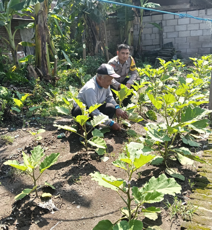 Bhabinkamtibmas Desa Jemirahan Koordinasi dengan Petani Dukung Ketahanan Pangan Nasional