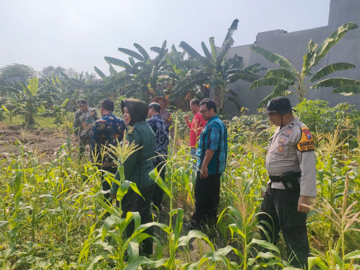 Polsek Sedati Pantau Lahan P2B, Optimalkan Penanaman Jagung untuk Ketahanan Pangan