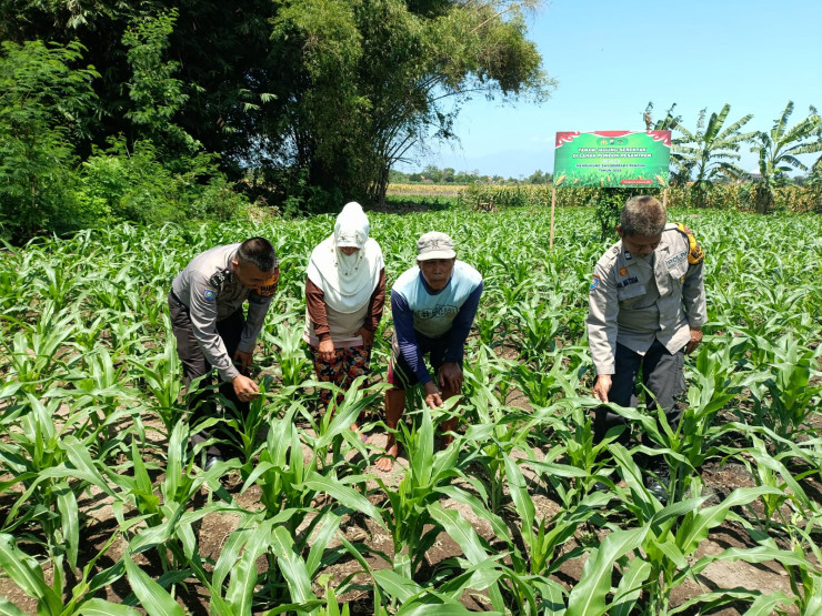 Polsek Balongbendo Dukung Program Ketahanan Pangan Lewat Pekarangan Bergizi